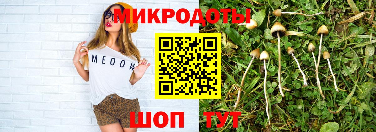где продают   Вход с VPN  Черемхово  Псилоцибиновые грибы мухоморы 